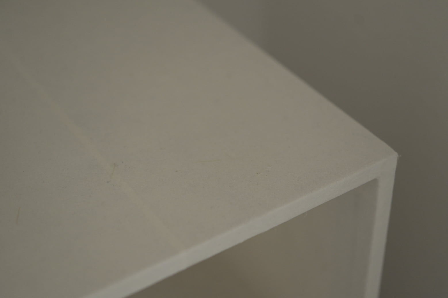 TSUTO(つと) 今帰仁 石蕗 03