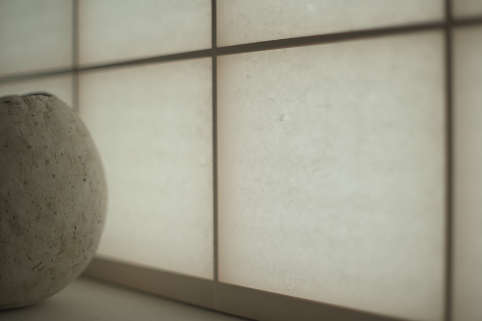 TSUTO(つと) 今帰仁 石蕗 04